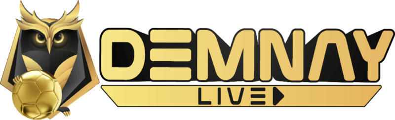 logo Demnaylive