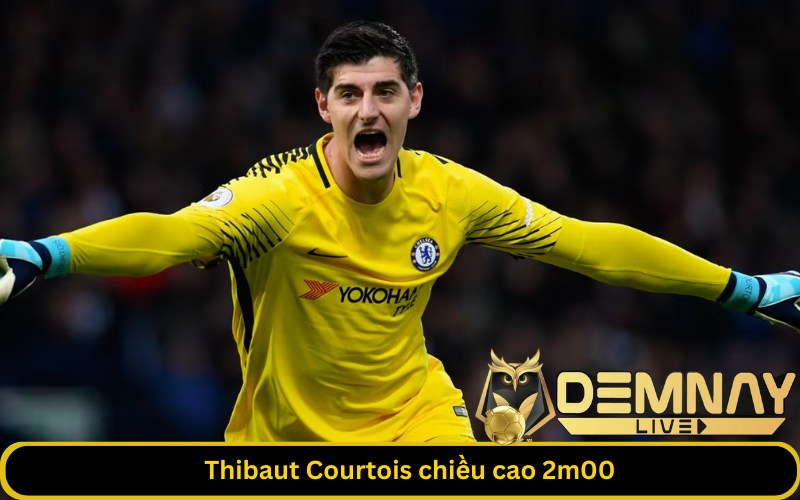 Thibaut Courtois chiều cao 2m00